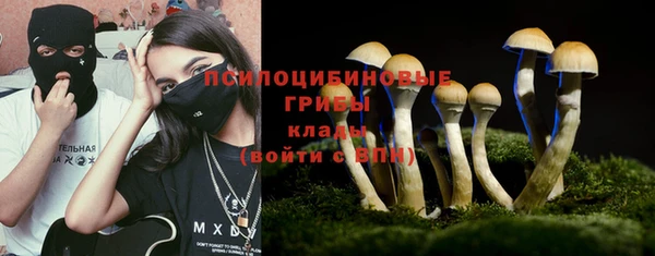 PSILOCYBIN Осинники