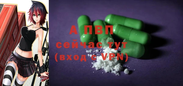 PSILOCYBIN Осинники