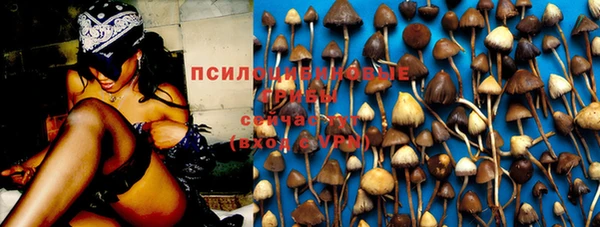 PSILOCYBIN Осинники