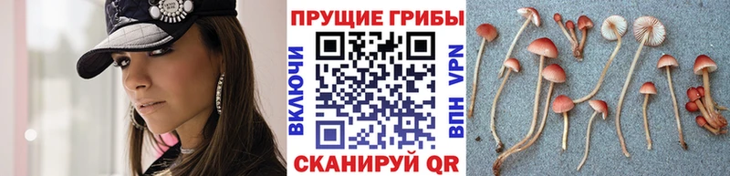 наркошоп  Ханты-Мансийск  Галлюциногенные грибы Psilocybe 