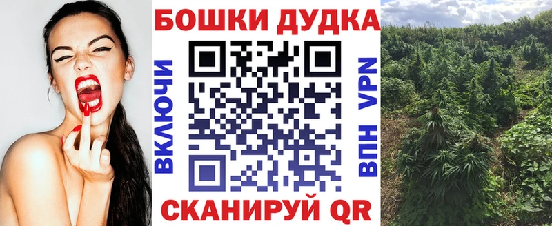 Конопля сатива  Ханты-Мансийск 